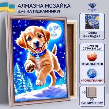 Алмазна мозаїка "Веселий песик" на підрамнику 40х30 см 30001 фото