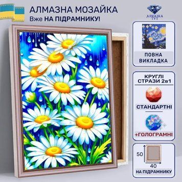 Алмазная мозаика "Ромашки" на подрамнике 50х40 см 50116 фото