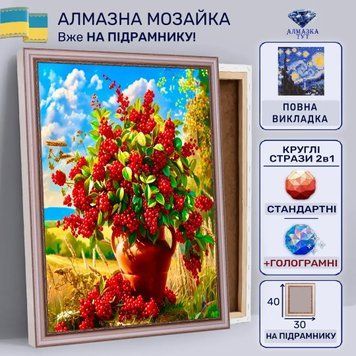 Алмазна мозаїка "Калина в полі" на підрамнику 40х30 см 30050 фото