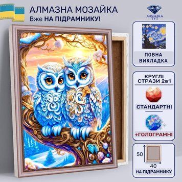 Алмазная мозаика "Влюбленные совушки" на подрамнике 50х40 см 50007 фото