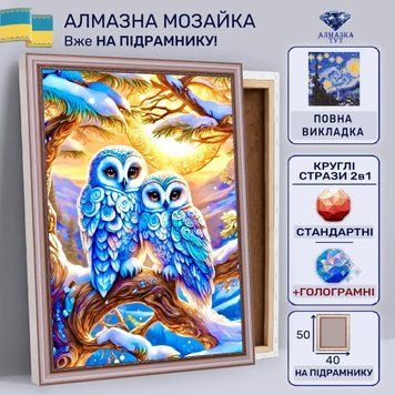 Алмазная мозаика "Совенки на рассвете" на подрамнике 50х40 см 50062 фото
