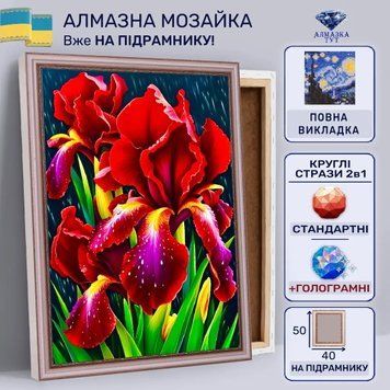 Алмазна мозаїка "Червоні іриси" на підрамнику 50х40 см 50041 фото