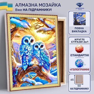 Алмазная мозаика "Влюбленные совушки" на подрамнике 65х50 см LRS606 фото
