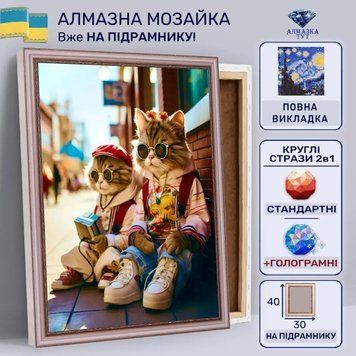 Алмазна мозаїка "Стильні котики" на підрамнику 40х30 см 30027 фото